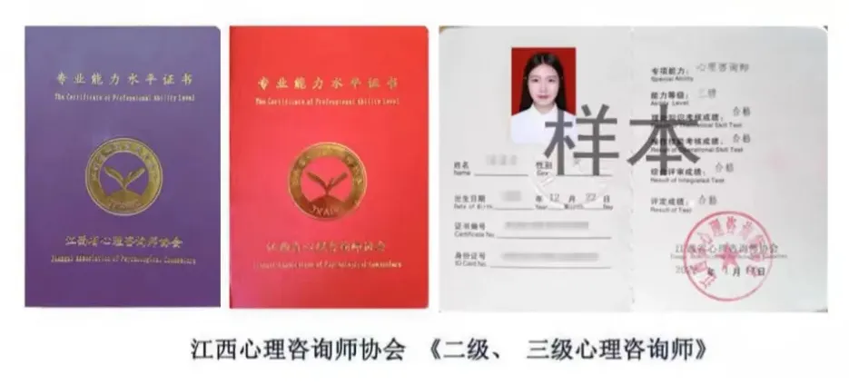 心理咨询师证书.png
